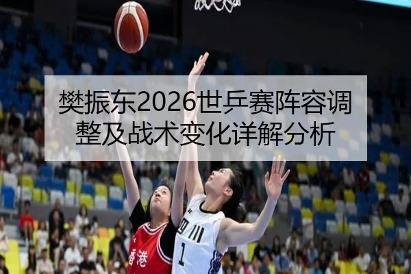 樊振东2026世乒赛阵容调整及战术变化详解分析